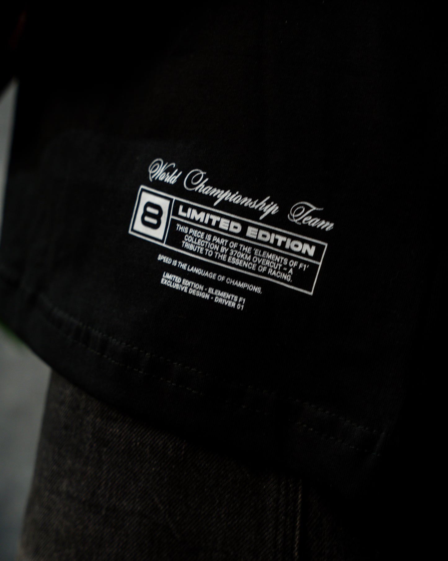 Driver — Elemento del Piloto #1